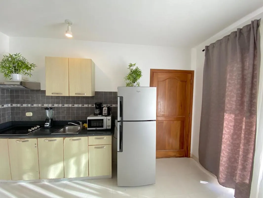 Villas & Apartments With Pool And Ocean View Playa Los Corales Punta Cana Apartahotel